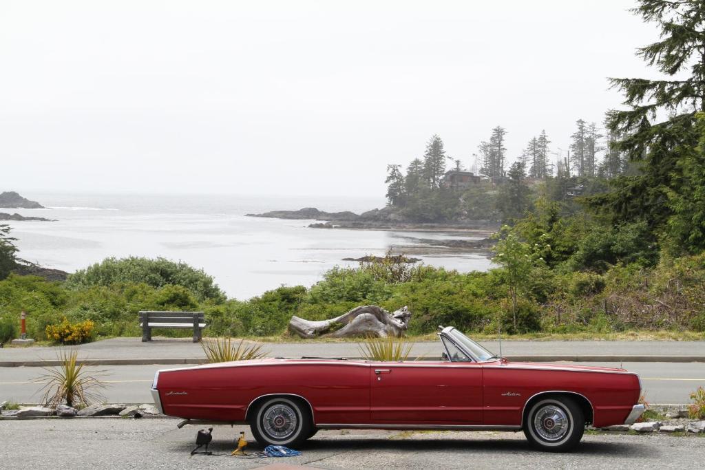 Little Beach Resort Ucluelet Bagian luar foto