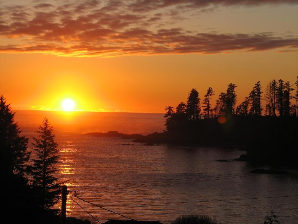 Little Beach Resort Ucluelet Ruang foto