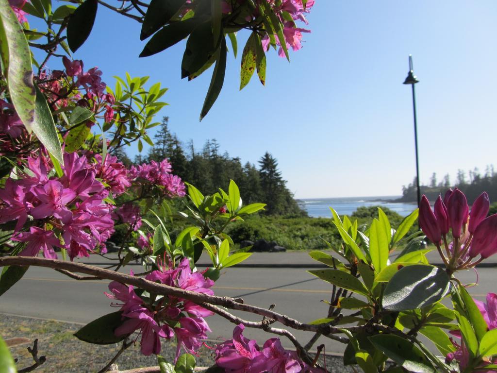 Little Beach Resort Ucluelet Bagian luar foto